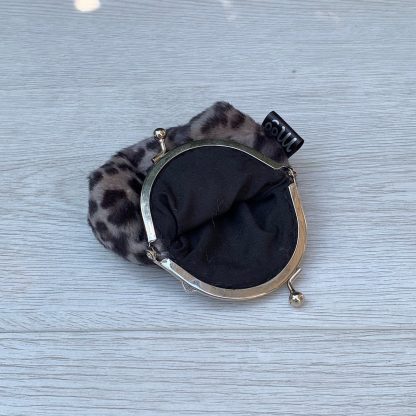 small silver coin purse